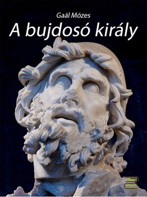 cover image of A bujdosó király